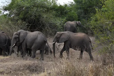 DSC_4089 (Large).JPG